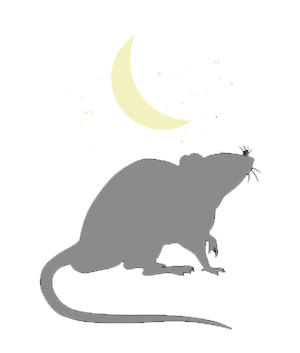 Rat and crescent moon